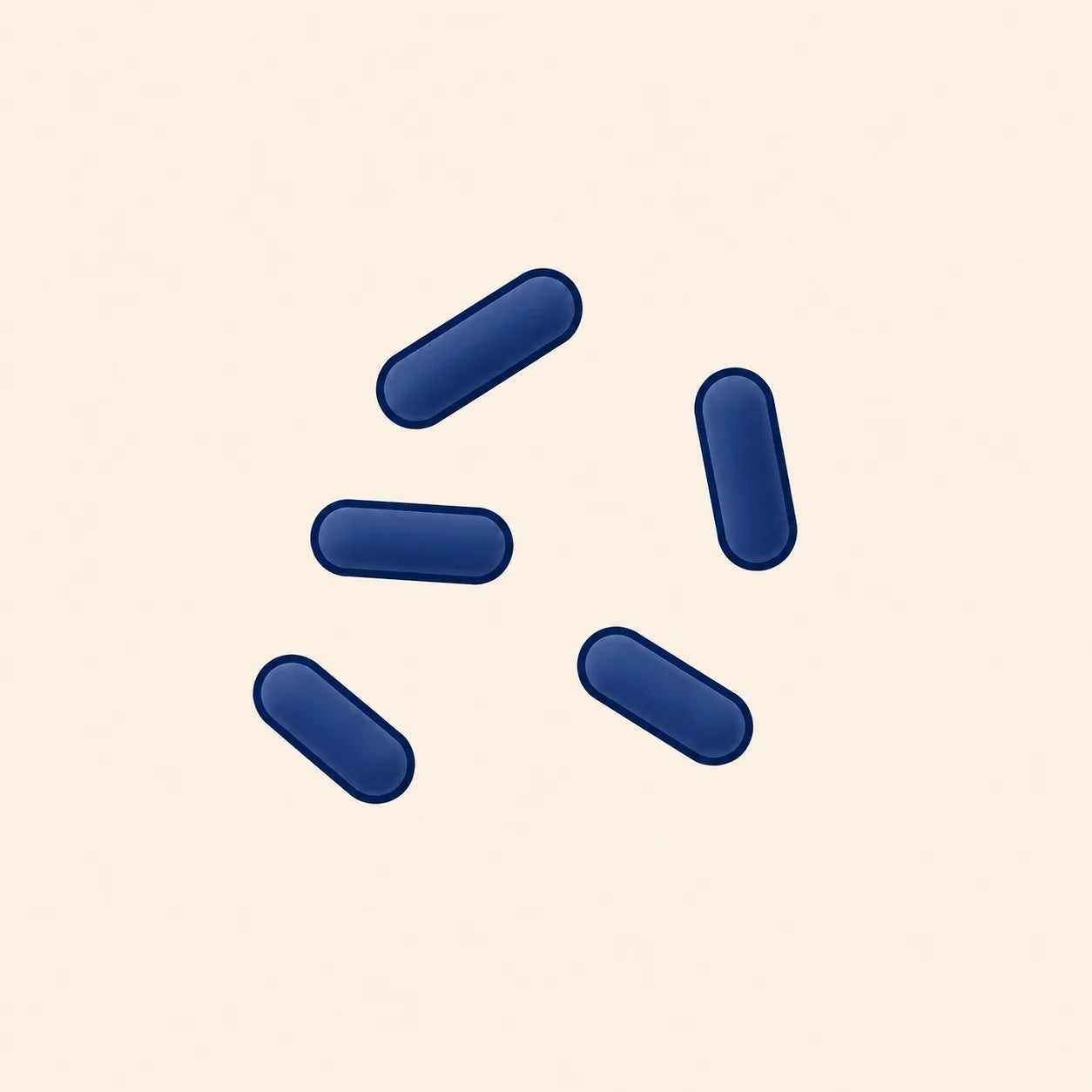 Lactobacillus brevis