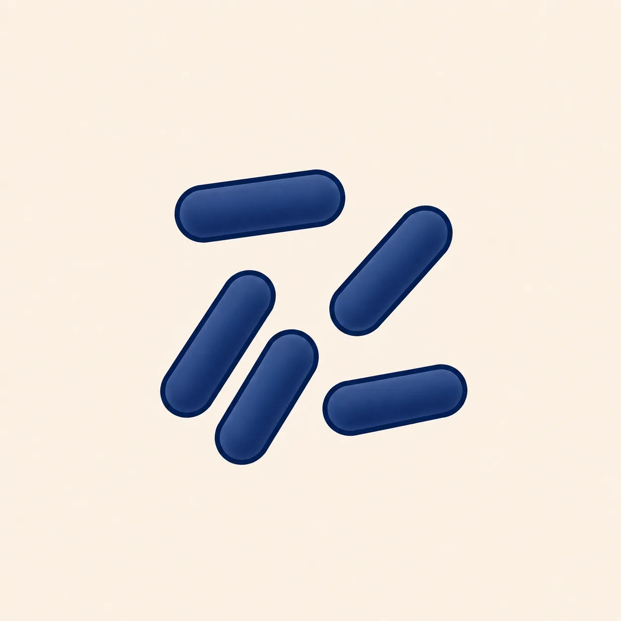 Lactobacillus paracasei
