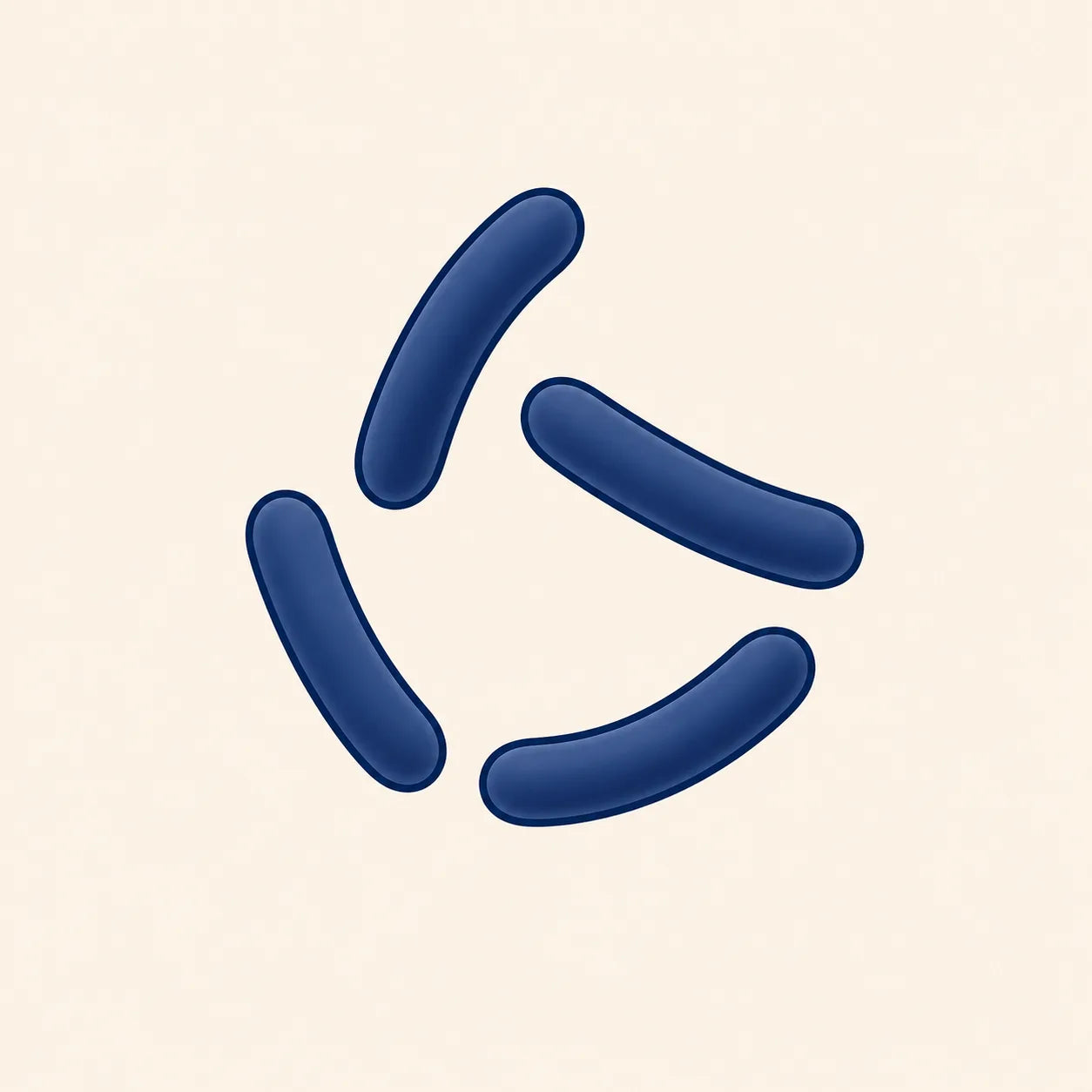 Lactobacillus reuteri